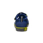 Big Kids' Seacamp II CNX | Naval Academy/Chartreuse