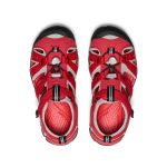 Big Kids' Seacamp II CNX  |  Ribbon Red/Alloy