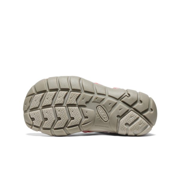 Little Kids' Seacamp II CNX | Dubarry/Giggle Pink