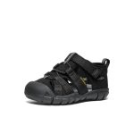 Toddlers' Seacamp II CNX | Black/Grey