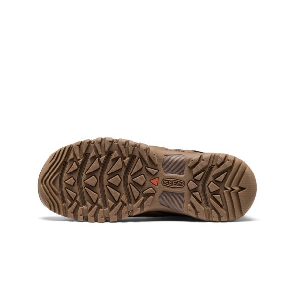 Men's Targhee EXP Waterproof Hiking Shoe | Dark Earth