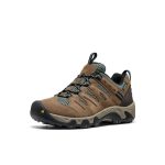 Women's Headout Waterproof Hiking Shoe | Shitake/Dark Forest