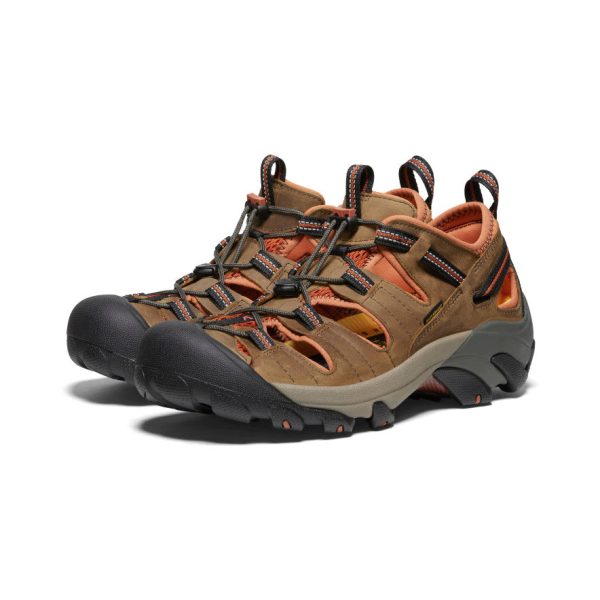 Men's Arroyo II | Black Olive/Bombay Brown