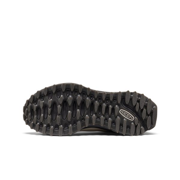 Men's Jasper Zionic Sneaker  |  Abbey Stone/Lily Pad