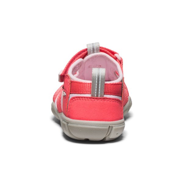 Little Kids' Seacamp II CNX | Dubarry/Giggle Pink