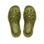 Men's Newport H2 Sandal | Monochrome/Golden Cyprus