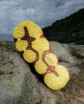 Women's Hyperport H2 Sandal x Hiking Patrol | Algae Green