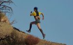 Women's Wander Trail Running Shoe  |  Birch/Star White