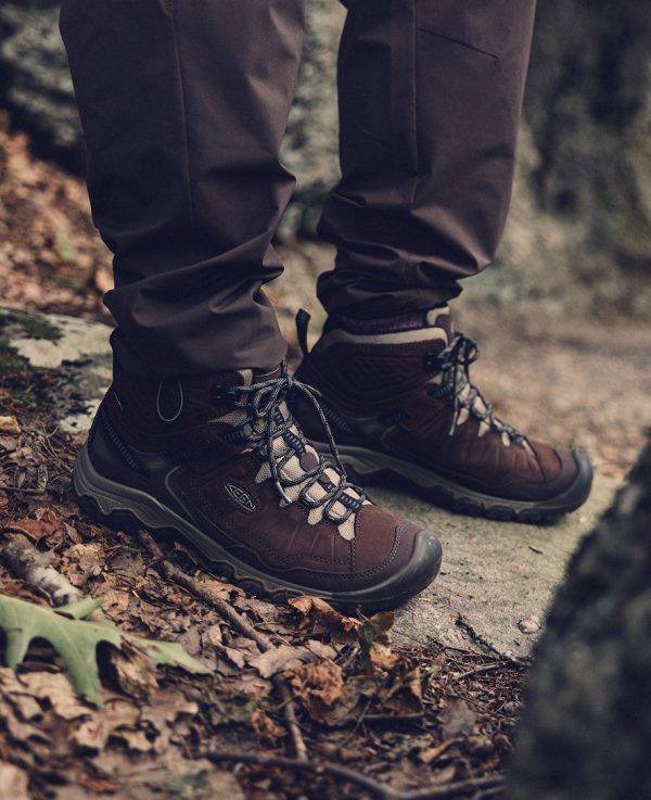 Men's Targhee IV Waterproof Hiking Boot  |  Java/Brindle
