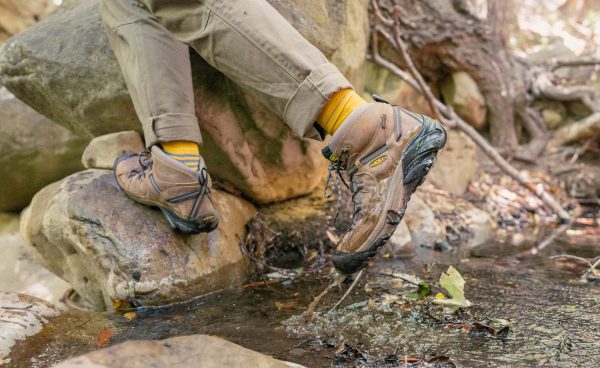 Men's Targhee II Mid Waterproof Hiking Boots | Shitake/Brindle