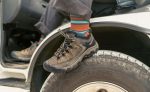 Men's Targhee III Waterproof | Black Olive/Golden Brown