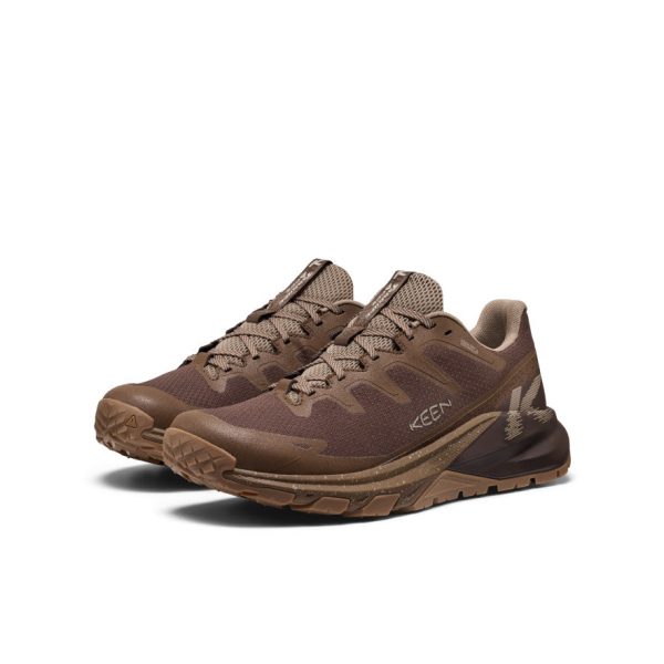 Men's Targhee Apex Waterproof Hiking Shoe | Java/Dark Earth