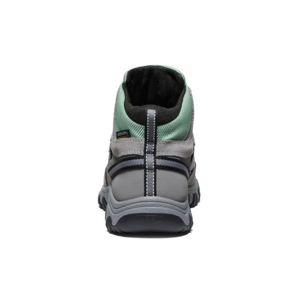 Big Kids' Targhee IV Waterproof Hiking Boot  |  Alloy/Granite Green