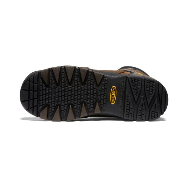 Men's Louisville 6 Waterproof Boot (Steel Toe) | Cascade Brown