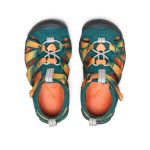 Little Kids' Seacamp II CNX  |  Ombre Mediterranea