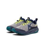 Men's Roam Trail Running Shoe | Alloy/Evening Primrose