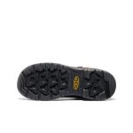Men's Targhee IV LTR Waterproof Work Boot (Carbon Toe)  |  Bison/Black