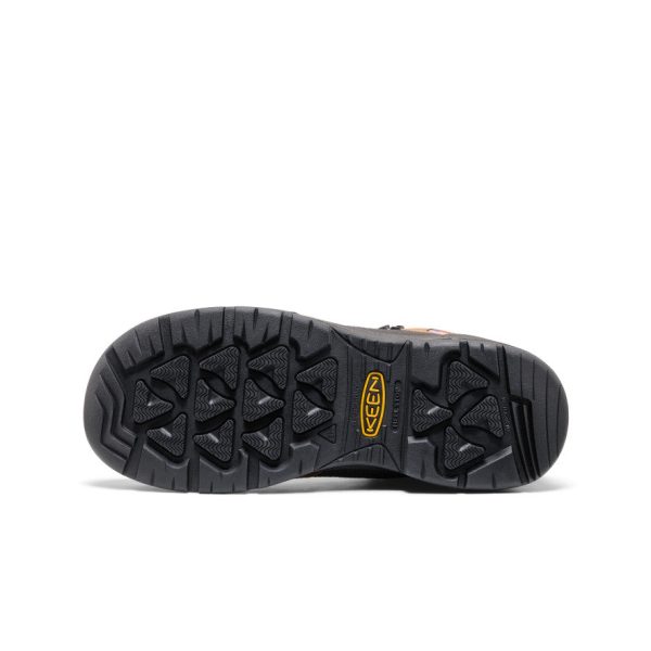 Men's Targhee IV LTR Waterproof Work Boot (Carbon Toe)  |  Bison/Black
