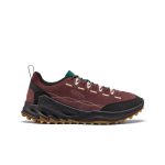 Men's Jasper Zionic Sneaker  |  Huckleberry/Lemon Grass