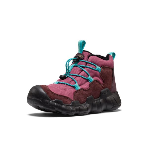 Big Kids' Hypowser Waterproof Chukka | Huckleberry/Violet Quartz