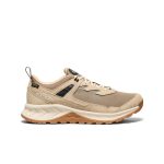 Men's Hightrail Waterproof Hiking Shoe | Brindle/Birch