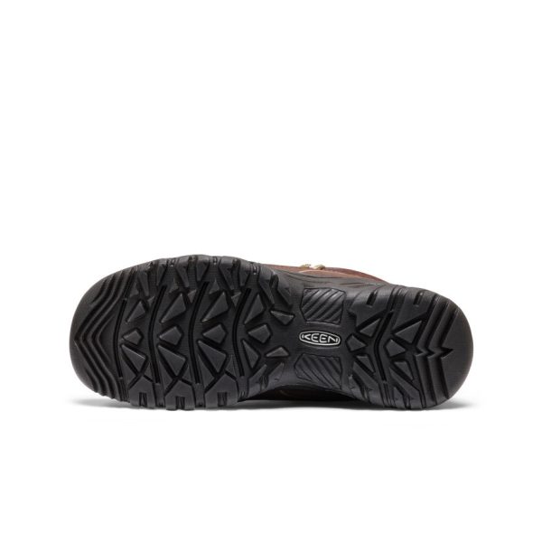Women's Targhee IV Waterproof Hiking Boot  |  Tumbled Chocolate