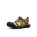 Men's Newport H2 Sandal | Gradient Dark Olive