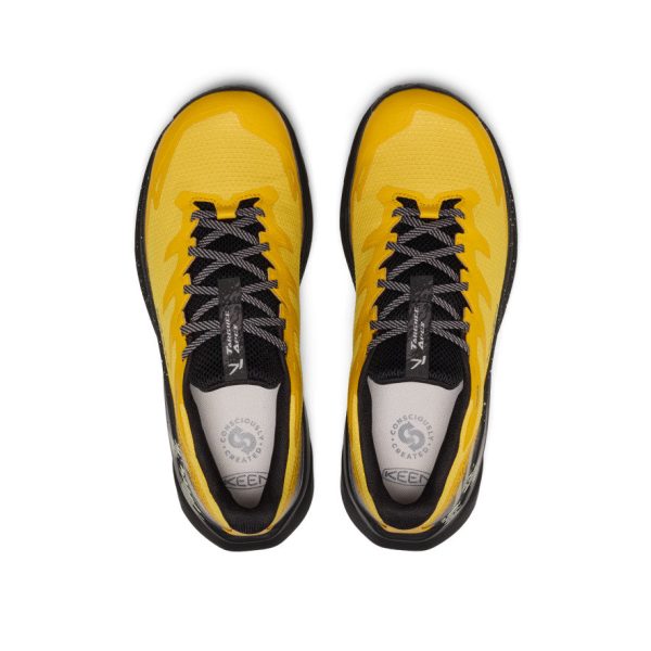 Men's Targhee Apex Waterproof Hiking Shoe | Symphonic Sunset/Black