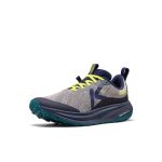 Men's Roam Trail Running Shoe | Alloy/Evening Primrose
