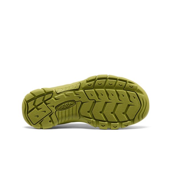 Men's Newport H2 Sandal | Monochrome/Golden Cyprus