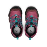 Big Kids' Hypowser Waterproof Chukka | Huckleberry/Violet Quartz