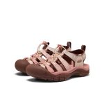 Women's Newport H2  |  Gradient Cameo Rose