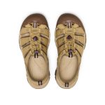 Men's Newport H2 Sandal | Mesa Glow