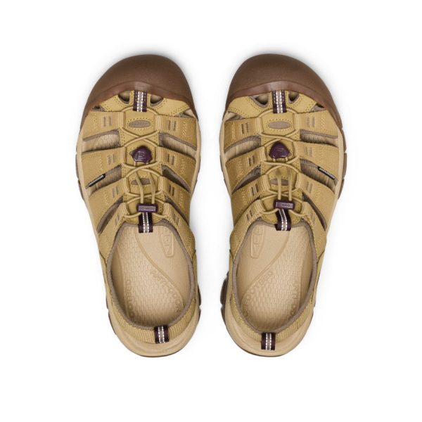 Men's Newport H2 Sandal | Mesa Glow