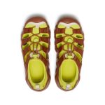 Women's Hyperport H2 Sandal x Hiking Patrol | Algae Green