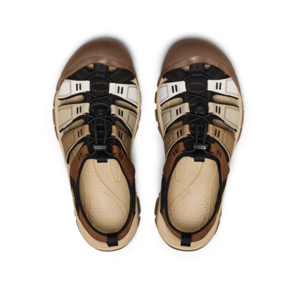 Men's Newport H2 Sandal | Gradient Bison