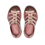 Women's Newport H2  |  Gradient Cameo Rose