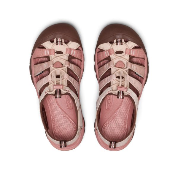 Women's Newport H2  |  Gradient Cameo Rose