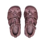 Little Kids' Seacamp II CNX namuk Sandal  |  Mauve