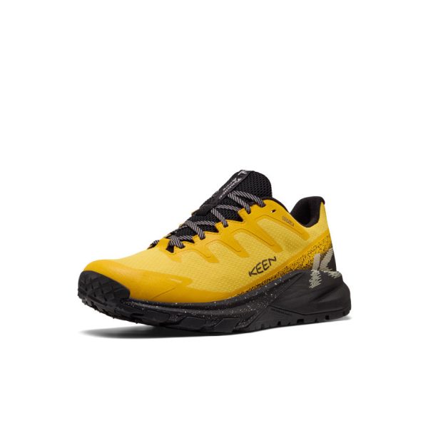 Men's Targhee Apex Waterproof Hiking Shoe | Symphonic Sunset/Black