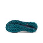 Men's Roam Trail Running Shoe | Alloy/Evening Primrose