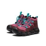 Big Kids' Hypowser Waterproof Chukka | Huckleberry/Violet Quartz