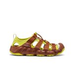 Men's Hyperport H2 Sandal x Hiking Patrol  |  Algae Green