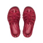 Women's Newport H2  |  Monochrome/Garnet