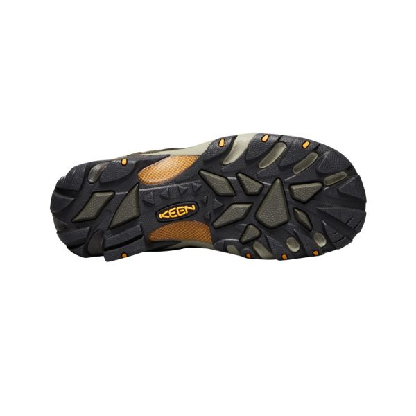 Men's Voyageur | Black Olive/Inca Gold
