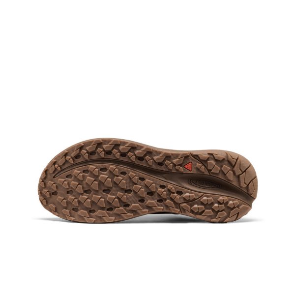 Men's Roam Leather Trail Running Shoe | Chipmunk/Dark Earth