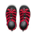 Little Kids' Newport H2  |  Ribbon Red/Gargoyle