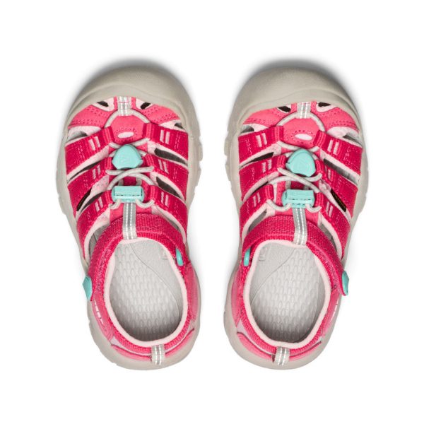 Little Kids' Newport H2 | Raspberry/Giggle Pink