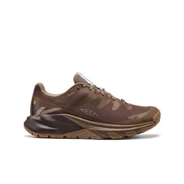 Men's Targhee Apex Waterproof Hiking Shoe | Java/Dark Earth