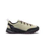 Women's Jasper Zionic Sneaker | Desert Sage/Lemon Grass
